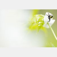 6720 x 4480 Px   _RM_190601_D4_2879.jpg