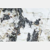 3747 x 2498 Px   _RM_190616_D4_7634.jpg