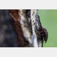 6092 x 4061 Px   _RM_190615_D4_9778.jpg