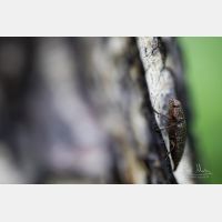 6102 x 4068 Px   _RM_190615_D4_9789.jpg