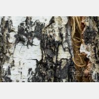 6720 x 4480 Px   _RM_190616_D4_7584.jpg