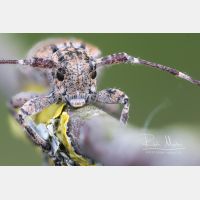 4250 x 2833 Px   _RM_210520_D2_3936-20.jpg