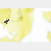 4136 x 2757 Px   _RM_210528_D4_4292.jpg