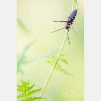 3644 x 5465_Px _RM_200613_D4_3645.jpg