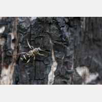 6720 x 4480 Px   _RM_190615_D4_9881.jpg