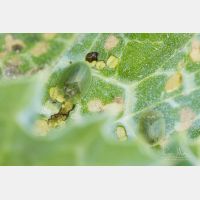 4374 x 2916 Px   _RM_190426_D2_2869.jpg