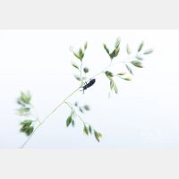 6720 x 4480_Px _RM_200524_D4_0222.jpg