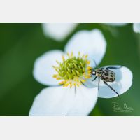 5093 x 3395 Px   _RM_190619_D4_1668.jpg