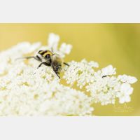 4801 x 3201 Px   _RM_190801_D3_0028-2.jpg