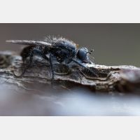 5060 x 3373 Px   _RM_200819_D2_9572-6.jpg
