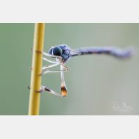 3903 x 2602 Px   _RM_200727_D2_8048-4.jpg