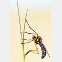 3351 x 5026 Px   _RM_200507_D2_6132.jpg