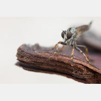 5085 x 3390 Px   _RM_200817_D4_9499.jpg
