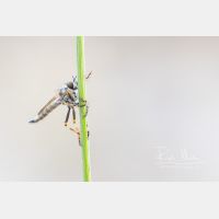 6718 x 4478 Px   _RM_200817_D4_9430_8.jpg