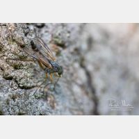 5066 x 3377_Px _RM_200506_D2_5597.jpg