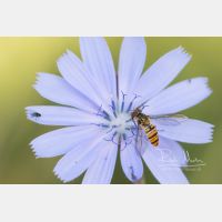 5028 x 3352 Px   _RM_190901_D2_9759.jpg