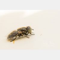 4713 x 3142 Px   _RM_190916_D2_1617.jpg