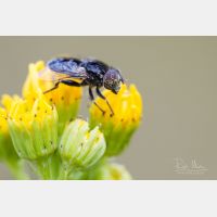 4806 x 3204 Px   _RM_200804_D2_8566.jpg