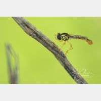 4801 x 3201 Px   _RM_190825_D2_9423.jpg
