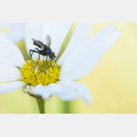 5472 x 3648 Px   _RM_190922_D2_2463.jpg