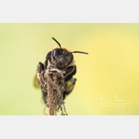 4326 x 2884 Px   _RM_210404_D2_4746.jpg