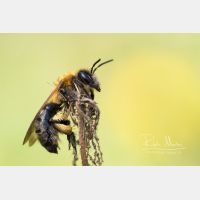 5130 x 3420 Px   _RM_210404_D2_4744.jpg