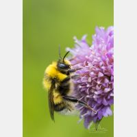 3648 x 5472 Px   _RM_190803_D2_0079.jpg