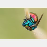 4342 x 2894 Px   _RM_200703_D2_4412_6.jpg