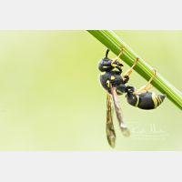 5472 x 3648 Px   _RM_200611_D2_3179_12.jpg