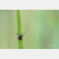 3286 x 2190 Px   _RM_200426_D2_4045.jpg
