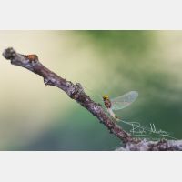 5083 x 3388 Px   _RM_210531_D2_4891.jpg