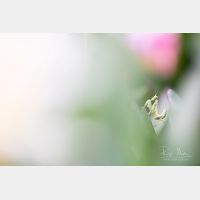 6720 x 4480 Px   _RM_190422_D4_4041.jpg