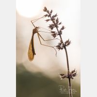 3375 x 5063_Px _RM_210826__D2_0979.jpg