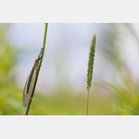 6720 x 4480 Px   _RM_190626_D4_9487.jpg